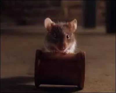 Dans quel film peut-on voir Mister Jingle ?