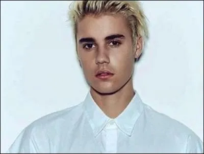 Combien de chiens a-t-il ?