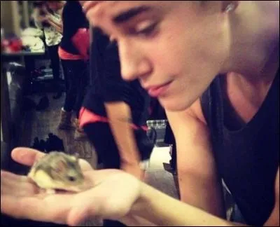 Quel est son animal préféré ?