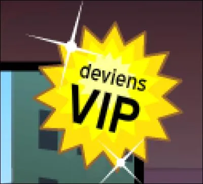 Combien y a-t-il de VIP différents (pack) ?