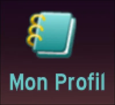 Combien y a-t-il de catégories différentes dans les profils ?