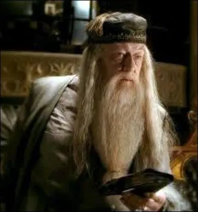 Qu'enseignait Albus Dumbledore avant de devenir directeur de Poudlard ?