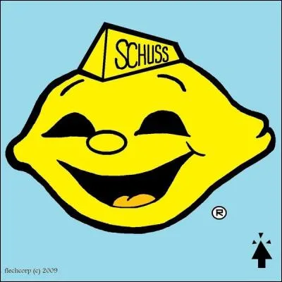 Dans quel sport est-il parfois question de "schuss" ?