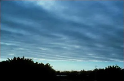 Comment s'appelle cette sorte de nuages qui, lorsque la température est inférieure à 0 degré, peut donner de la neige très fine ?