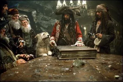 Par qui le code de la piraterie a-t-il été établi ?