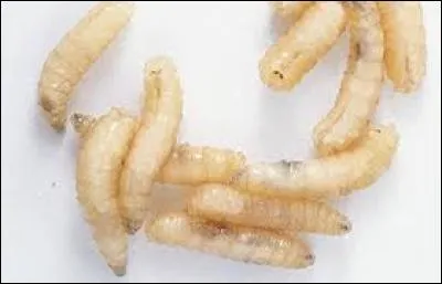 Indices : Seth, laboratoire, téléportation, transformation !