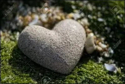 Vous n'avez pas vraiment de sentiments. Lequel de vos organes est fait de pierre ?