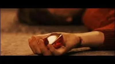 Dans "Harry Potter à l'école des sorciers", qui empêche Quirrell de prendre la Pierre ?