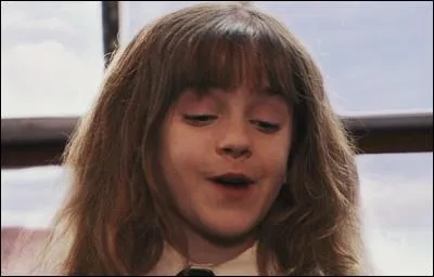 A quel moment dans "Harry Potter &agrave; l'&eacute;cole des sorciers" appara&icirc;t cette image ?