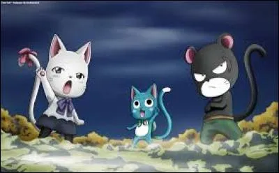 Quels sont les noms des Exceeds de la guilde ?