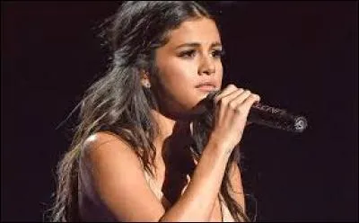 Comment appelle-t-on les fans de Selena ?