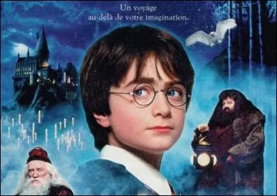 Quel est le titre de cette affiche ?