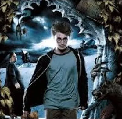 Quel est le titre de cette affiche ?