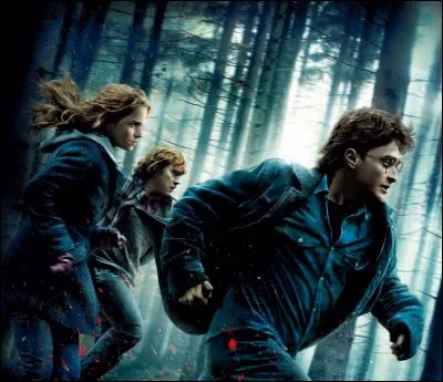 Quel est le titre de cette affiche ?