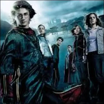 Quel est le titre de cette affiche ?