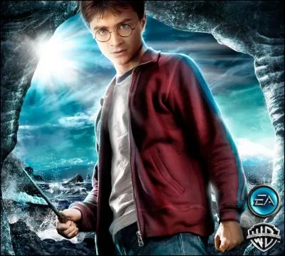 Quel est le titre de cette affiche ?