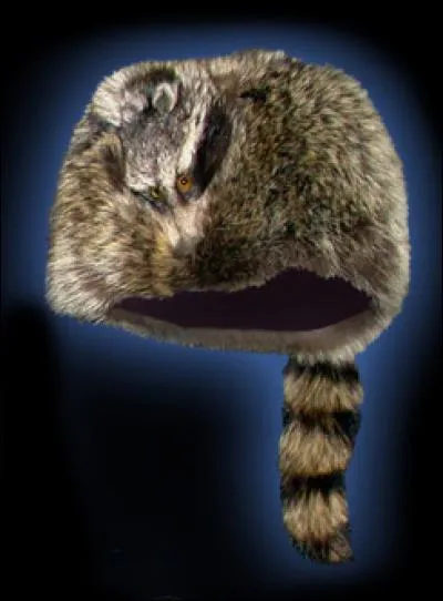 Indices : Marion, Chevauchée, Crockett, Rio Bravo !