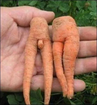 Arrive un éminent administrateur :