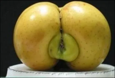 J'ai laissé ma voiture, à la porte du forum, sur le passage piéton :