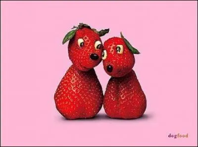 Comment ce quiz est-il bête, s'il est très facile ?