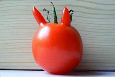 Mais si vous le ratez entièrement :