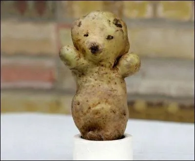 Si vous jouez tous vos quiz en 800 secondes et refusez d'admettre que vous trichez :