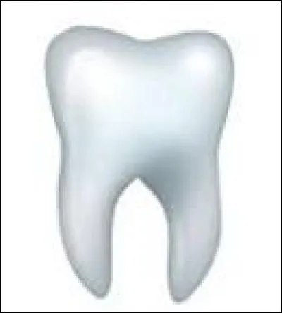 Quel l'animal a le plus de dents ?