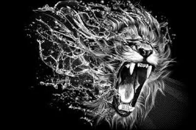 Quel est le plus grand carnivore ?