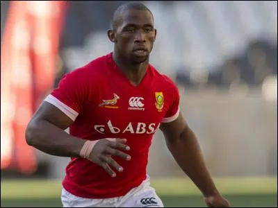 Qui est ce Springbok ?