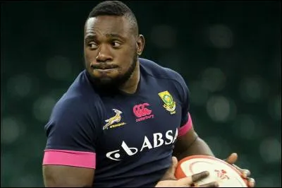 Qui est ce Springbok ?