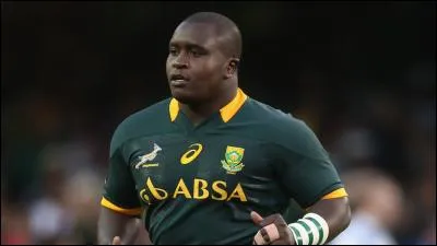 Qui est ce Springbok ?