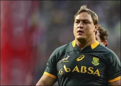 Qui est ce Springbok ?