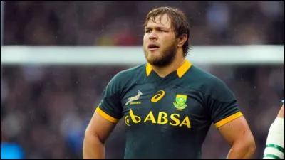 Qui est ce Springbok ?