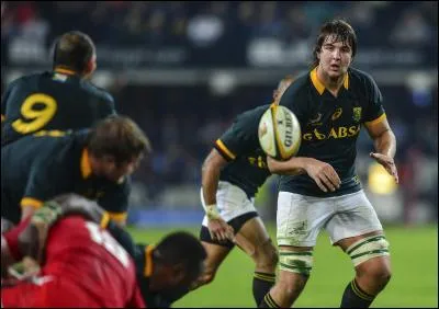 Qui est ce Springbok ?