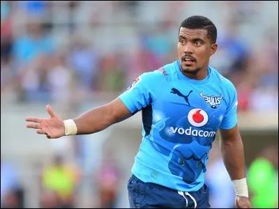 Qui est ce Springbok ?