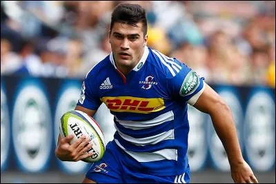 Qui est ce Springbok ?