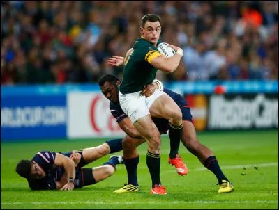 Qui est ce Springbok ?