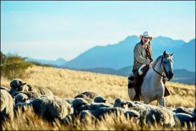 Indices : Campo, Tango, Bienvenue chez lui !