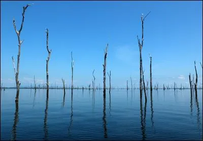 Indices : Maroni, Réservoir de Brokopondo, Paramaribo !