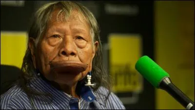 Indices : Kayapo, Raoni, Sting, Hulot !