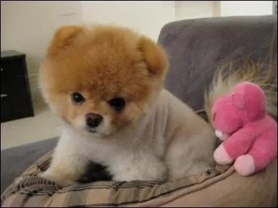 Indices : Petit, excuse, 78 !