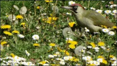 Indices : Exposition, cadrage, lumière, zoom !