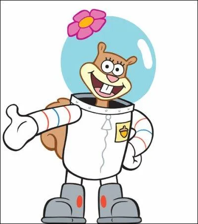 Quel est le nom de famille de Sandy ?