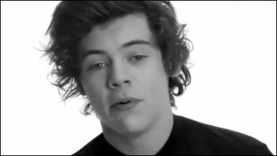 Quel est le nom de la soeur de Harry Style ?