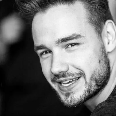 Qui est la copine de Liam ? (en 2016)