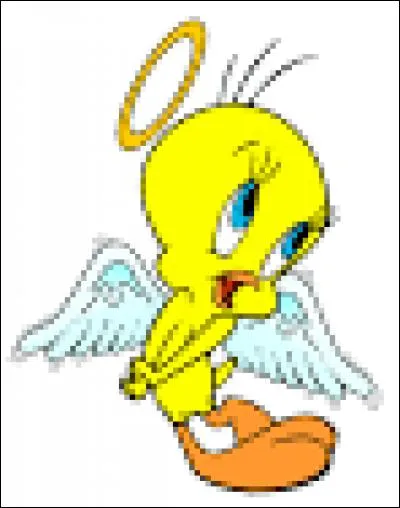 T - Qui poursuit Titi ?