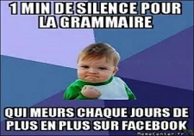 Le trop grand nombre de fautes de syntaxe, orthographe, conjugaison et défaut de ponctuation entraîne une désactivation. Version 2016