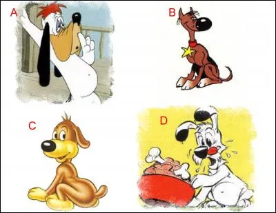 Rantanplan, le chien de Lucky Luke, est représenté en :