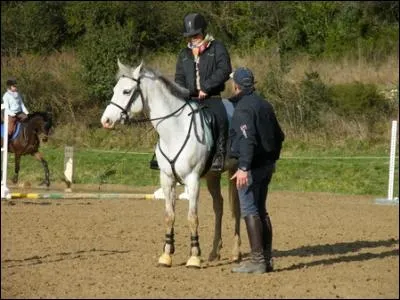 Quelles sont les aides naturelles à cheval ?