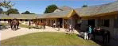 Quelles sont les règles de vie au centre équestre ?